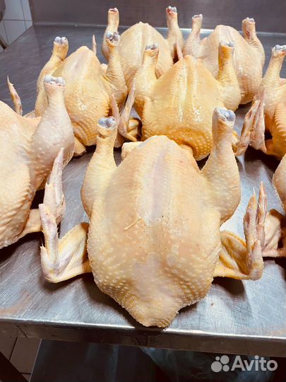 Курица домашняя халяль