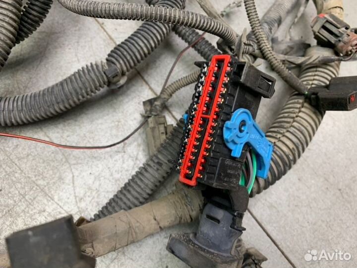 Подкапотная коса Ford Focus 2 седан 1.6 hwdb 2005