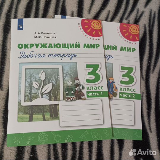 Окружающий мир 3 класс рабочая тетрадь