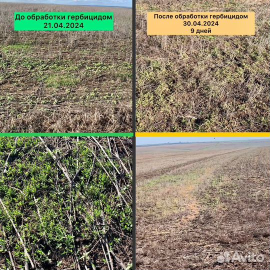 Опрыскивание полей дронами