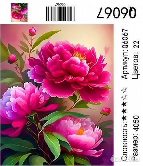 Картина по номерам 40x50 Q6067