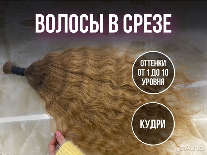 Волосы в срезе кудрявые