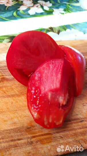 Семена томат помидор