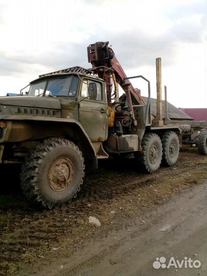 Услуги лесовоза