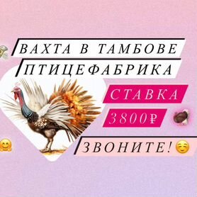 Подсобный рабочий/Высокая ставка/Вахта