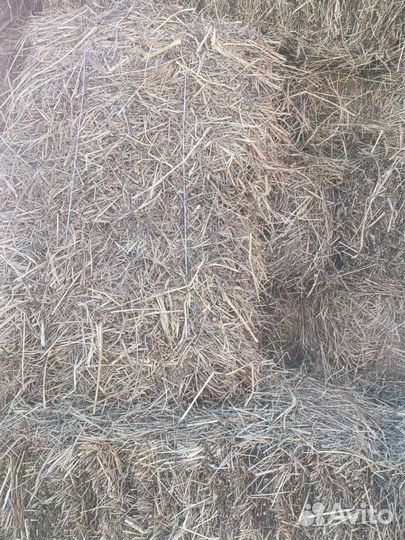 Сено разнотравье в тюках