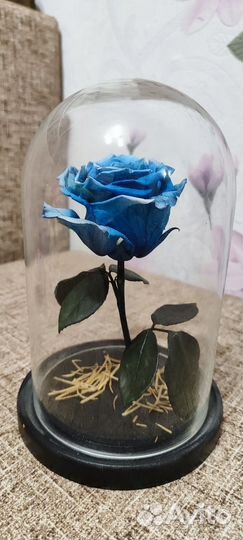 Роза в колбе