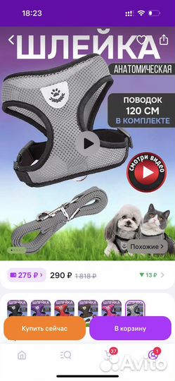 Шлейка с поводком для кошек и собак