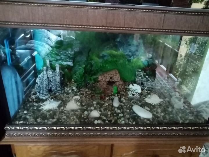 Аквариум