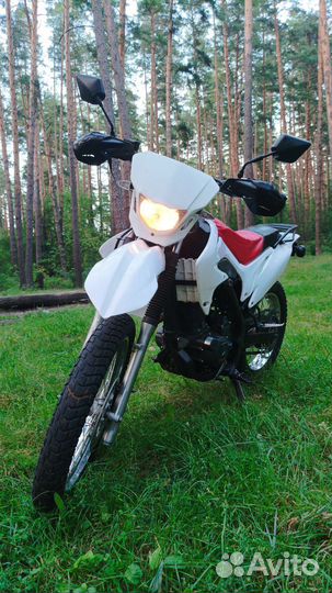 Motoland 150 с птс