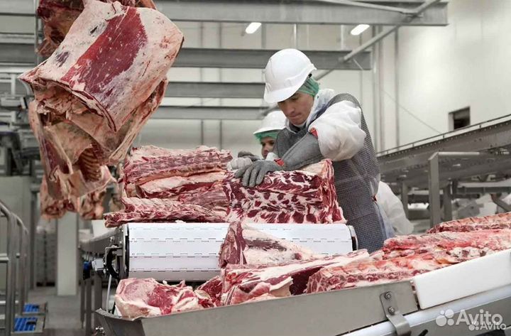 Ищу займ в мясокомбинат, доход 21567