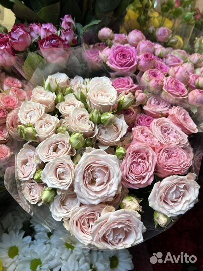 Пионовидные кустовые розы