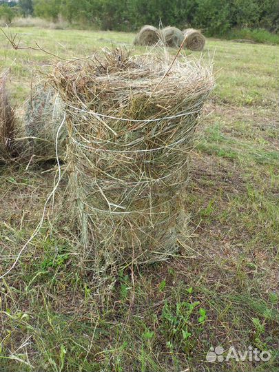 Сено в тюках