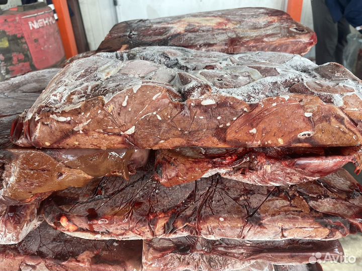 Мясо и субпродукты для собак