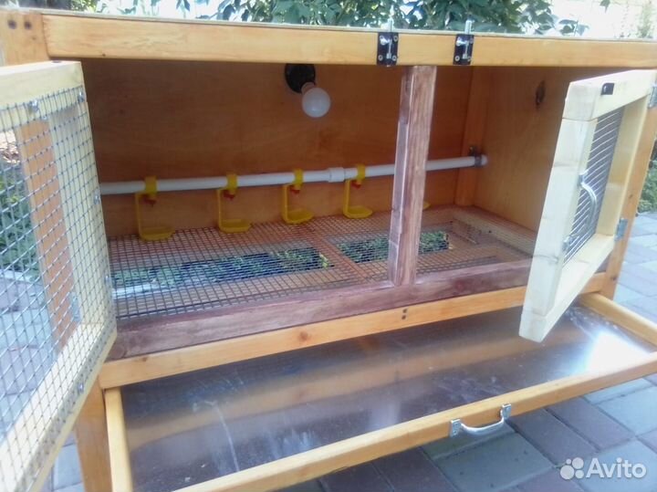 Брудер для цыплят