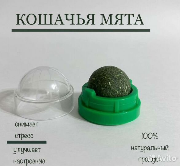 Кошачья мята