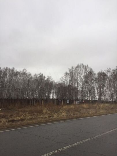 Участок 10 сот. (СНТ, ДНП)