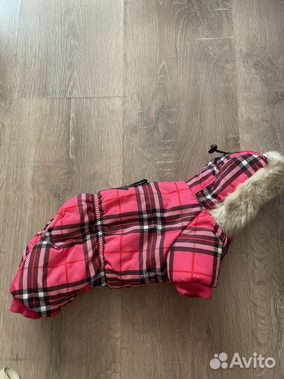 Одежда для маленьких собак