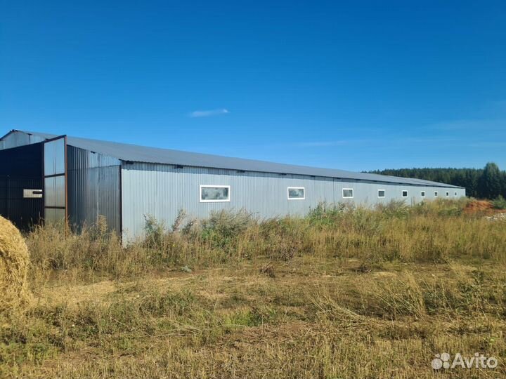 Готовое здание для ведения фермерского хозяйства