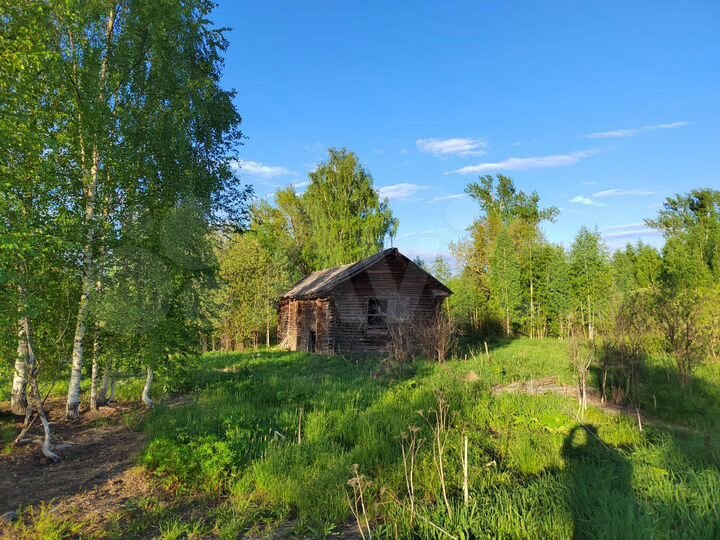 Участок 12 сот. (ИЖС)