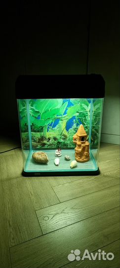 Аквариум
