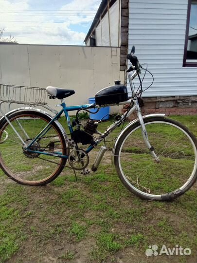 Мотовелик Байкал