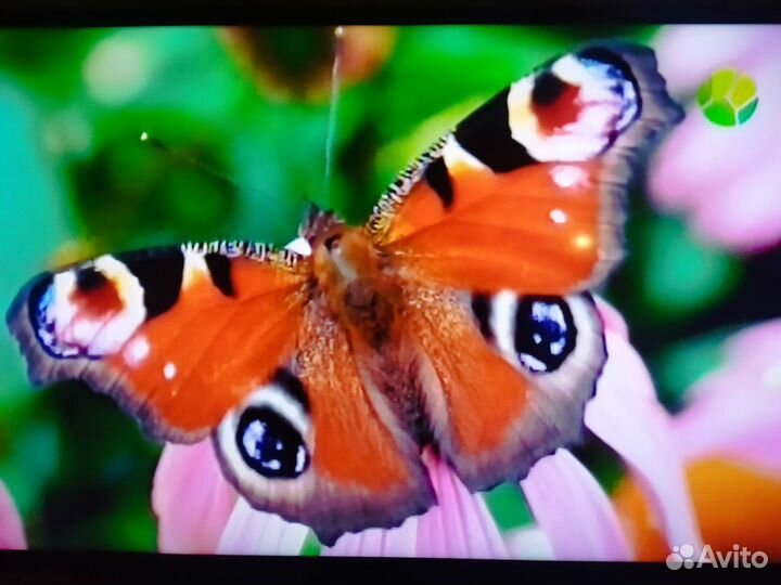 Телевизор sony bravia Ж.К. 40 дюймов