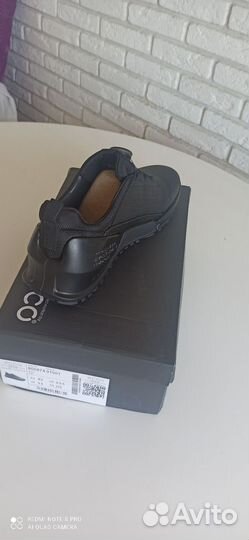 Ecco biom 2.0