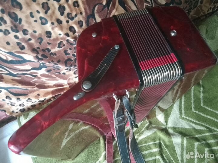 Аккордеон Firotti