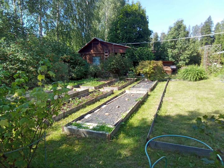 Дом 50 м² на участке 6 сот.