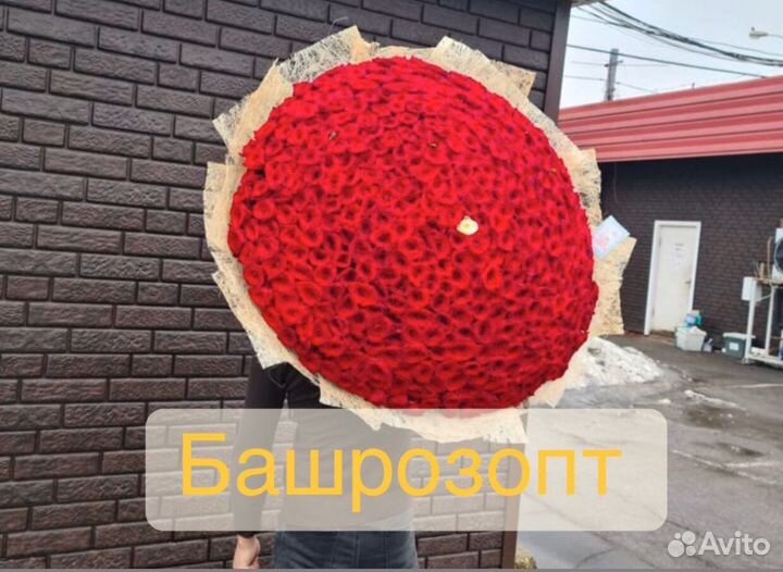 Букеты из 201 розы