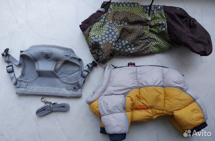 Вещи для маленьких собак