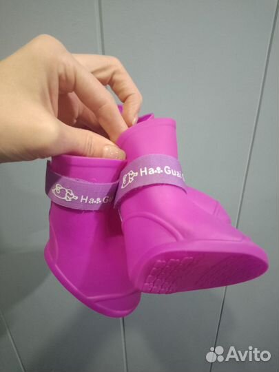 Обувь для собак