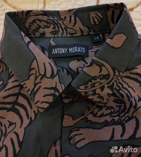 Брюки gulliver + рубашка Antony Morato