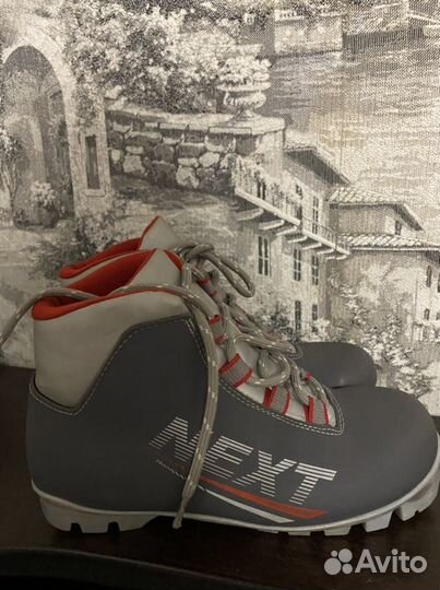 Лыжные ботинки