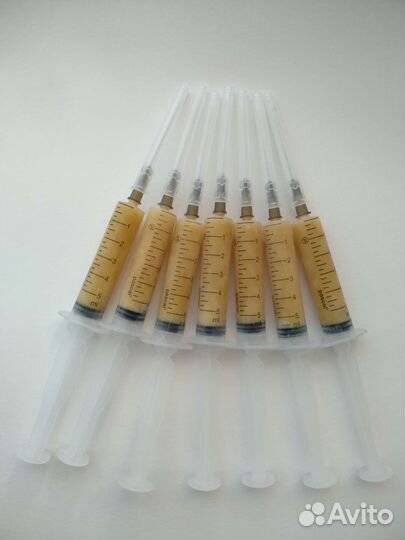 Мёд (мед), соты, пыльца, перга, гомогенат и др