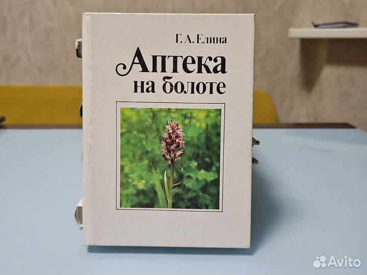 Аптека на болоте Г. А. Елина