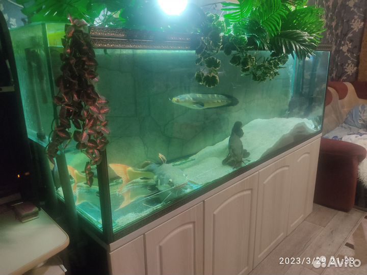 Продам аквариум