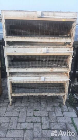 Брудэры для цеплят