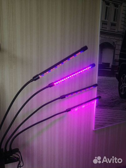 Эко лампа для растений