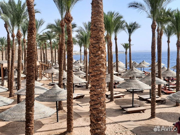 Тур В Шикарную Пятерку Египта, ALL, На Новогодние