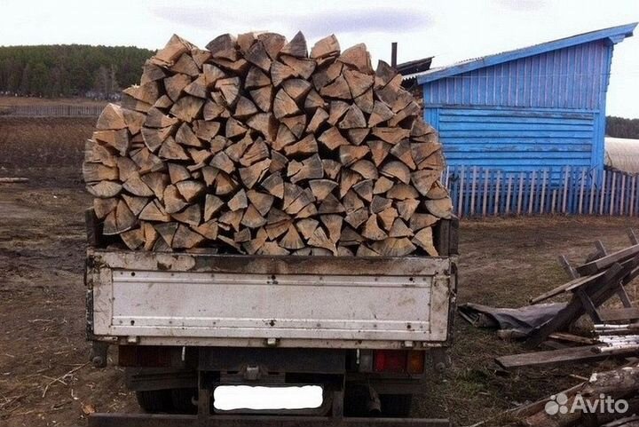 Дрова березовые