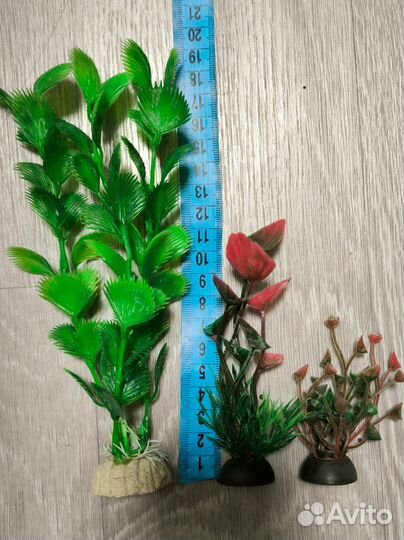 Аквариумные растения /живые /искуственные