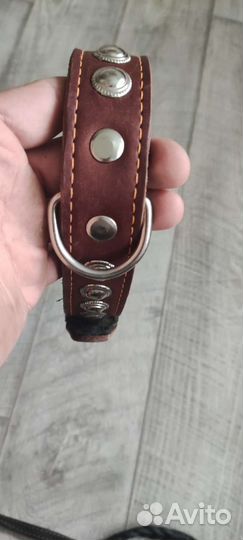 Ошейник с поводком для собаки