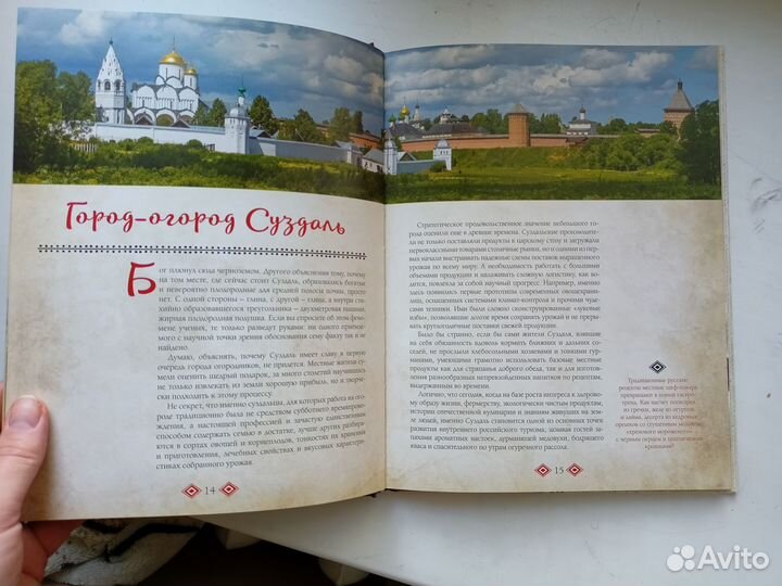 Рецепты наливок книга Настоять на своём