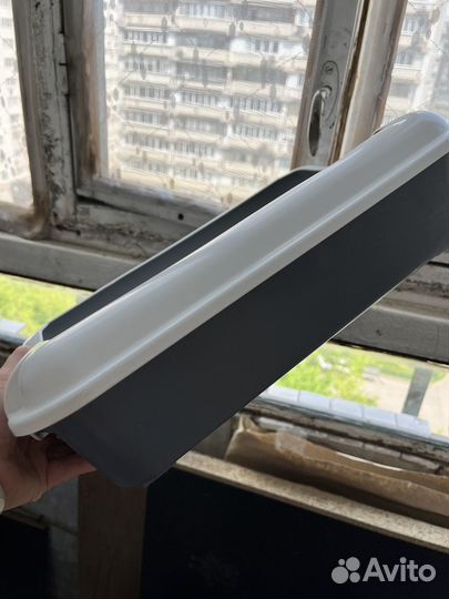 Лоток для котят