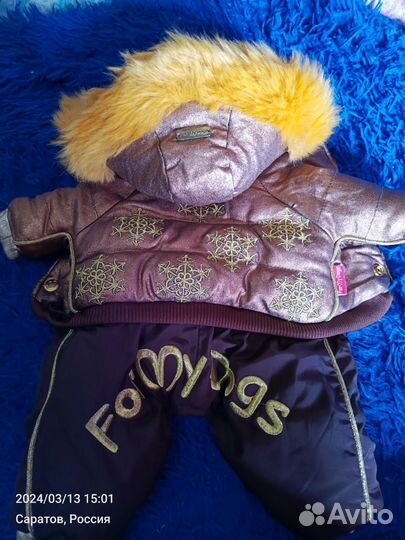 Зимний комбинезон для маленькой собаки