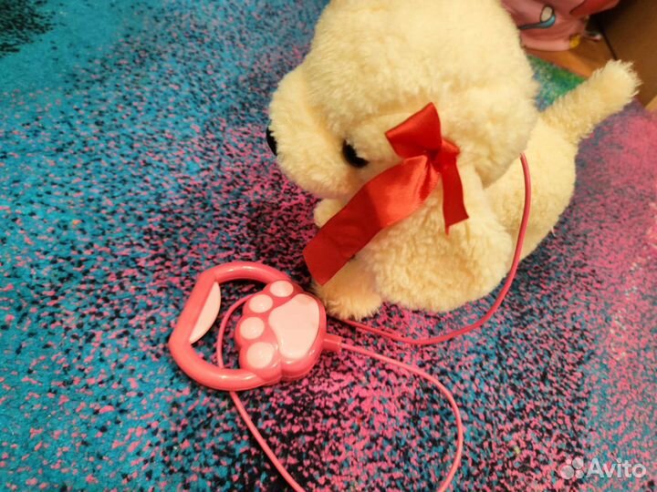 Собачка поет песню из 