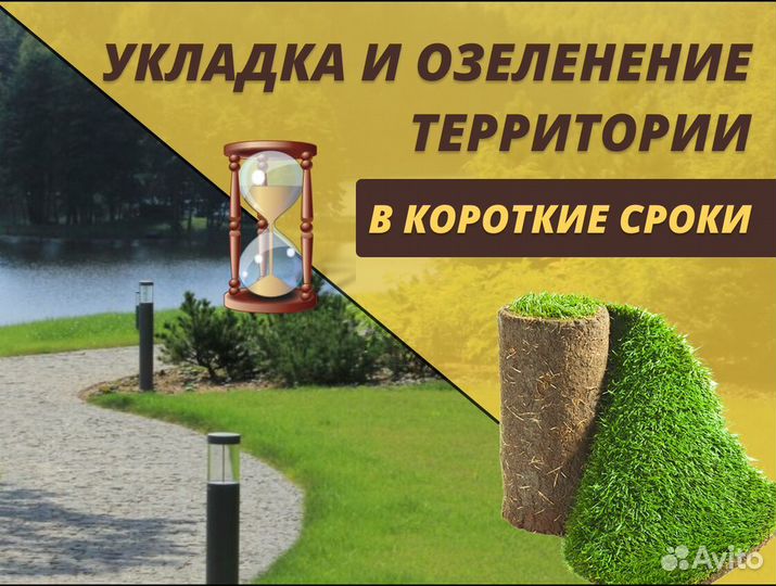 Рулонный газон стандартный под ключ