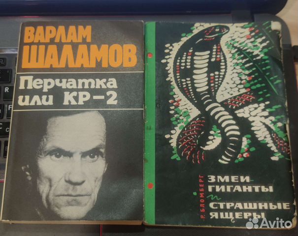 Варлам Шаламов,Бломберг лот 2 шт